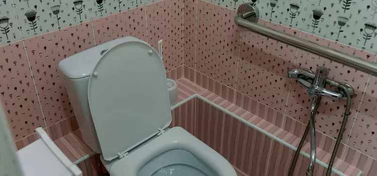 Meeting Diverse Needs With Accessible Restroom Solutions in Walker, MI